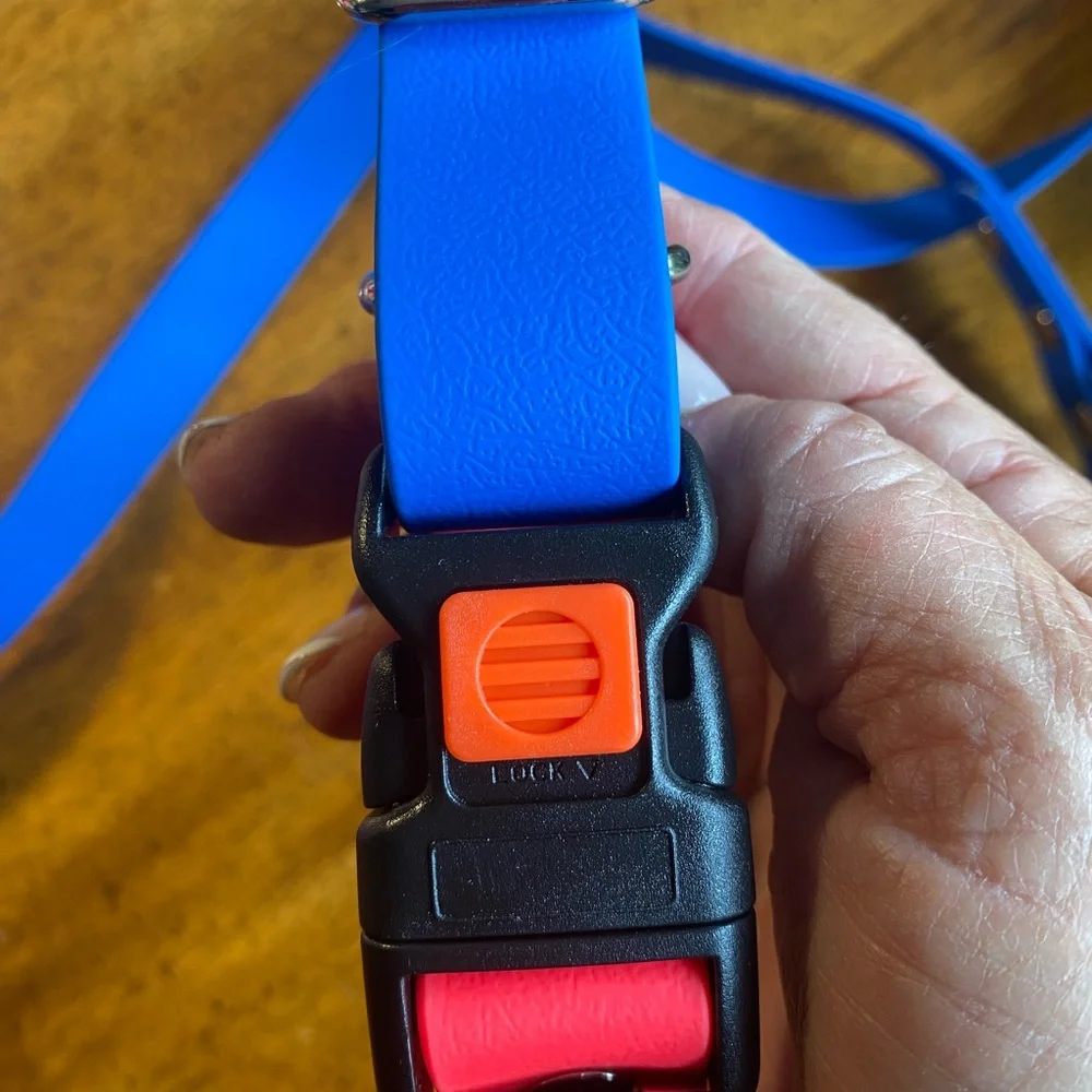 Prong Training Collar with attached leash
